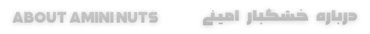 درباره خشکبار امینی